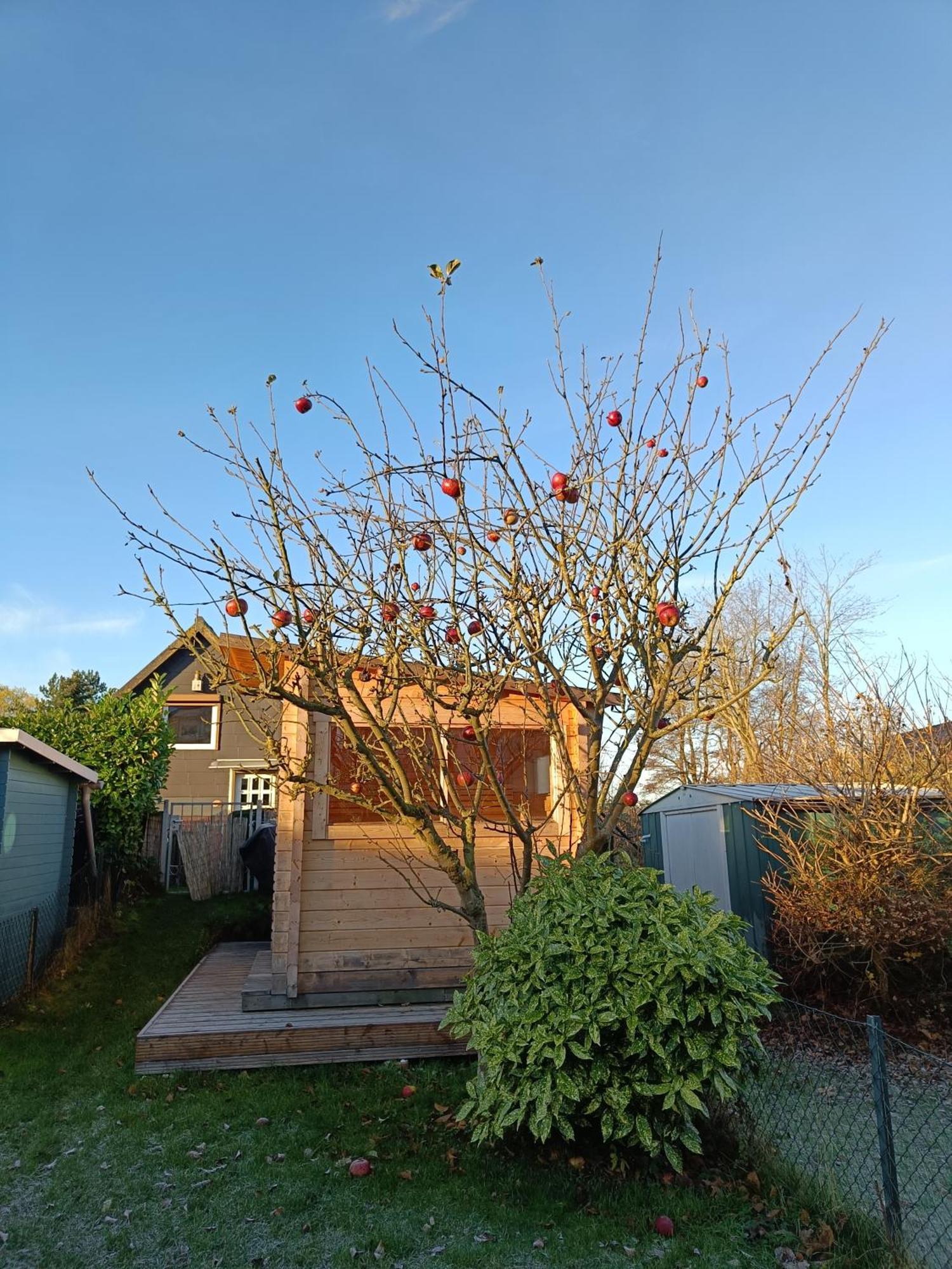 Beachhouse Mit Privater Sauna Und Kamin, 700M Zum Strand Schonberger Strand Exterior photo